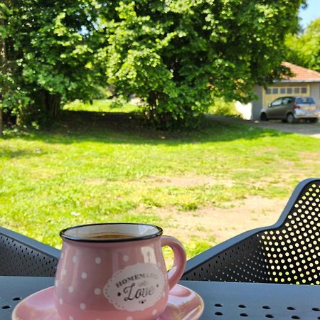 Apartment Holiday Vrnjačka Banja 外观 照片