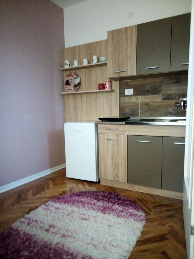 Apartment Holiday Vrnjačka Banja 外观 照片