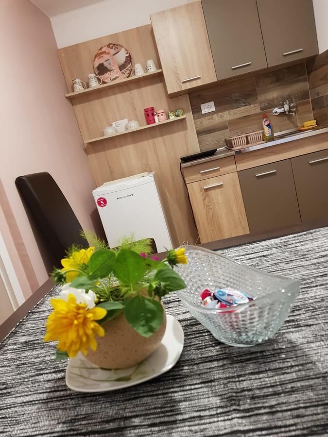 Apartment Holiday Vrnjačka Banja 外观 照片
