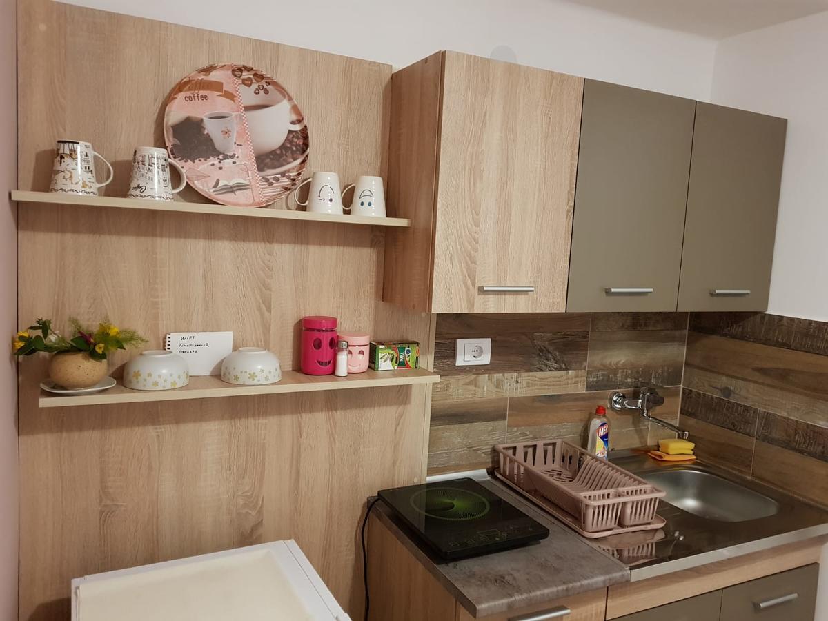 Apartment Holiday Vrnjačka Banja 外观 照片