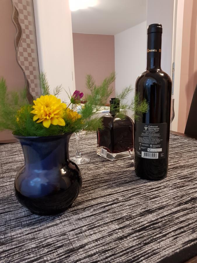 Apartment Holiday Vrnjačka Banja 外观 照片