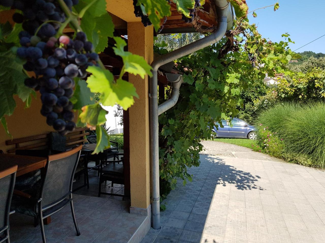 Apartment Holiday Vrnjačka Banja 外观 照片